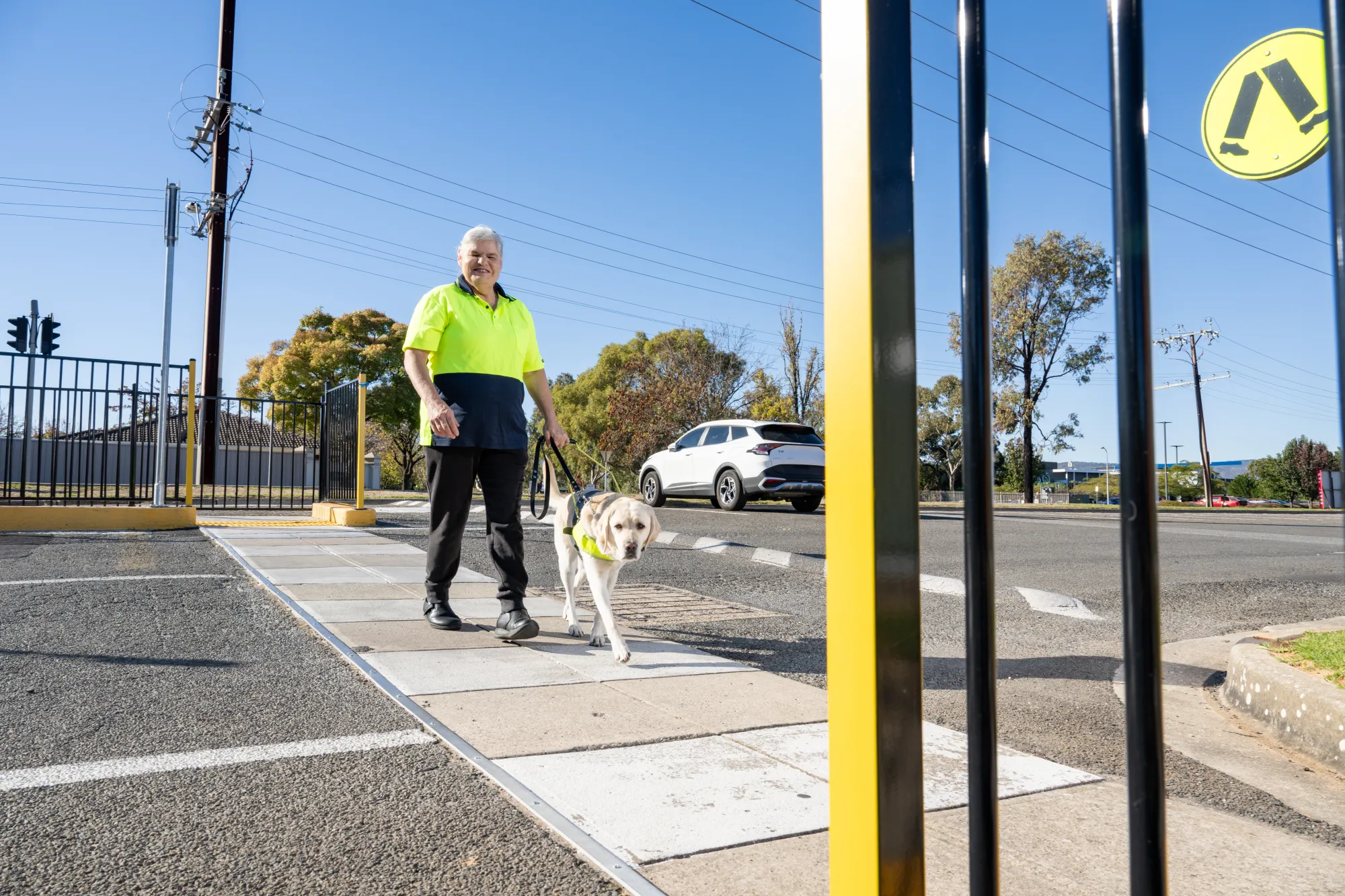 A vision impaired person in a bright yellow safety vest is crossing a street, a guide dog is assisting.