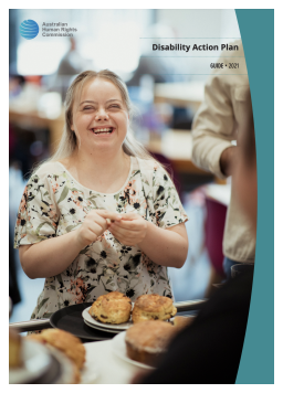 Cover image for 'Disability action plan guide'