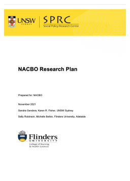 Cover image for 'NACBO (National Alliance of Capacity Building Organisations) research plan'