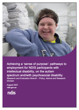 Cover image for 'Achieving a sense of purpose report (PDF 5'