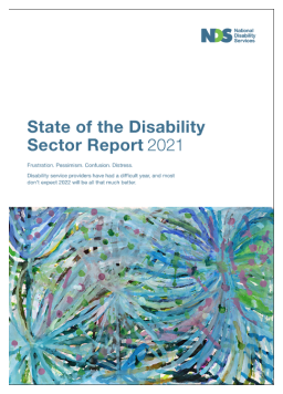 Cover image for 'State of the disability sector 2021'