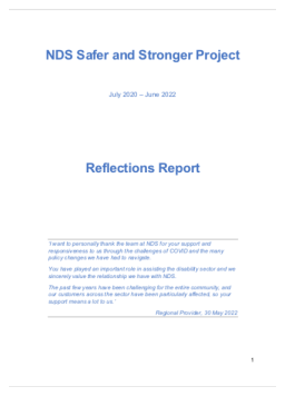 Cover image for 'NDS safer and stronger project: July 2020 – June 2022'
