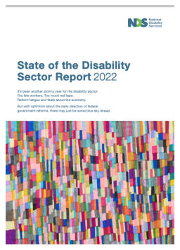 Cover image for 'State of the disability sector 2022'