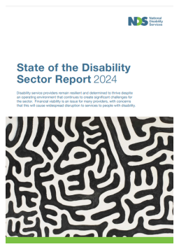 Cover image for 'State of the Disability Sector Report 2024'