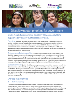 Cover image for 'Disability sector priorities for government 2025'
