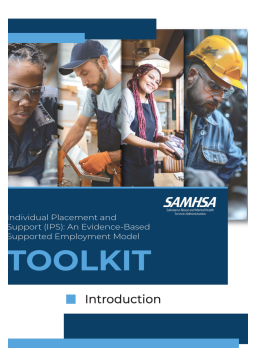 Cover image for 'IPS toolkit: introduction'