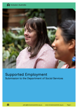 Cover image for 'Supported employment: submission'