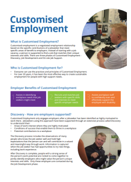 Cover image for 'Customised Employment'