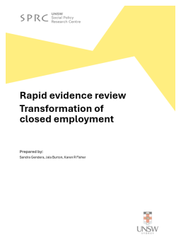 Cover image for 'Rapid evidence review'